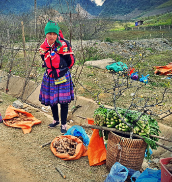 Half-Day Pa Co Market