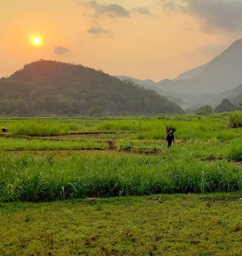 Full Day Pu Luong Nature Reserve