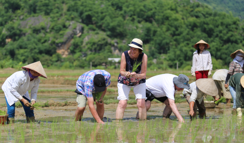 Farming work