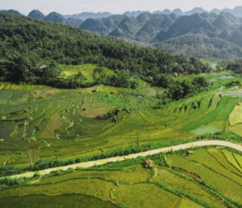 Tour thăm quan Pù Luông