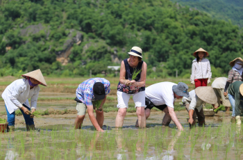 Farming work