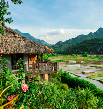 Gần gũi với thiên nhiên