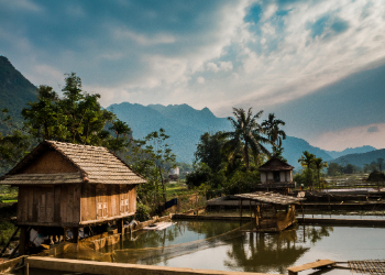 Discover Surrounding Areas