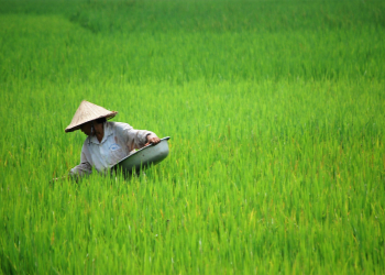 Pu Luong Nature Reserve