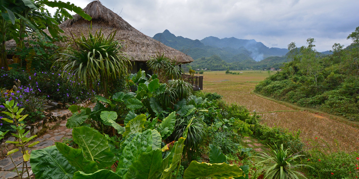 Mai Chau Ecolodge - Junior Room